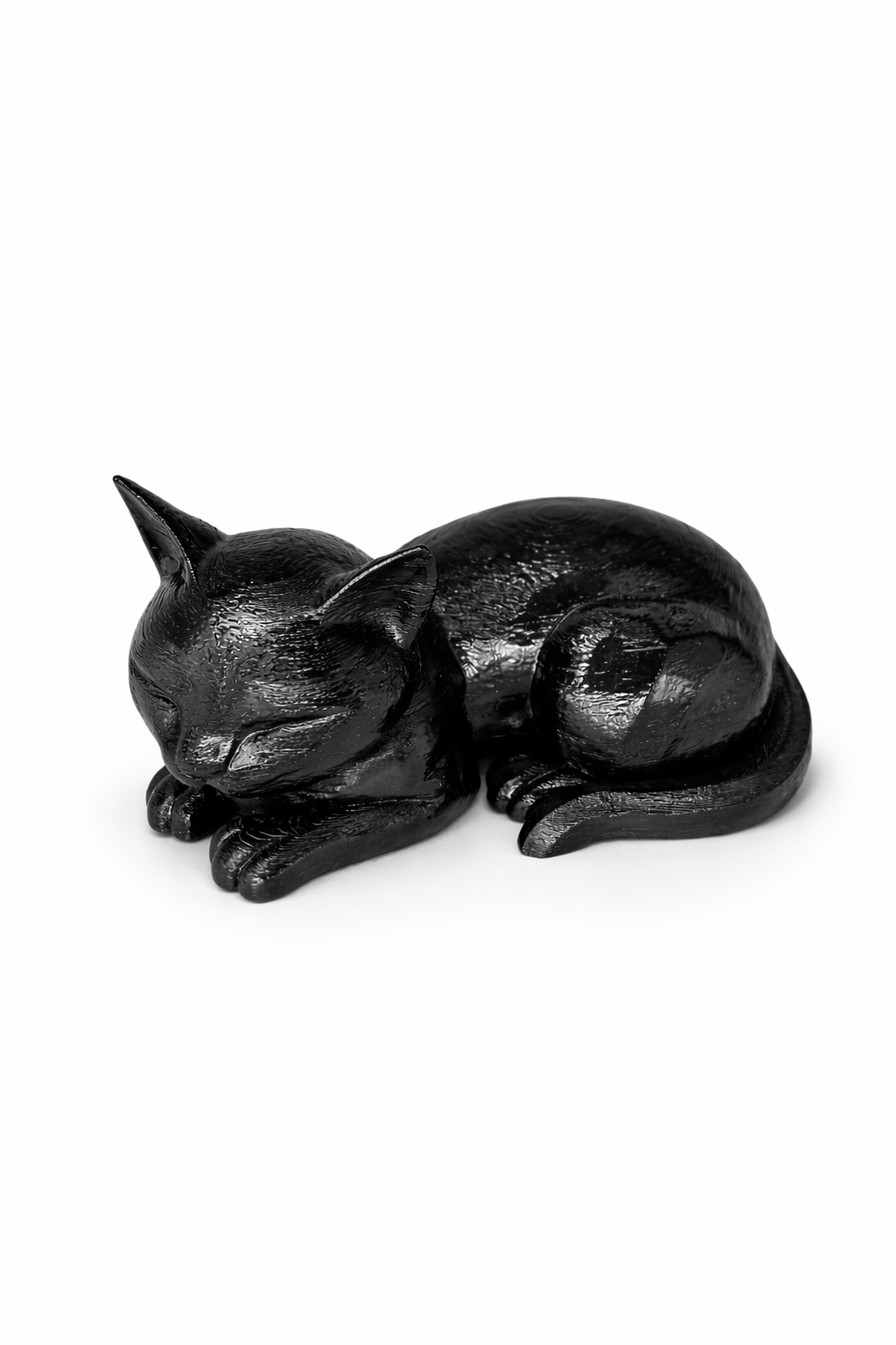 Gatto Ombra