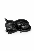 Gatto Ombra