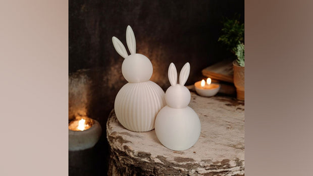 Set di conigli Duo Bunny