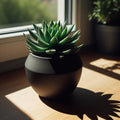 Vaso Orbita