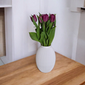 Vaso Bulbo