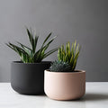 Vaso - Duo
