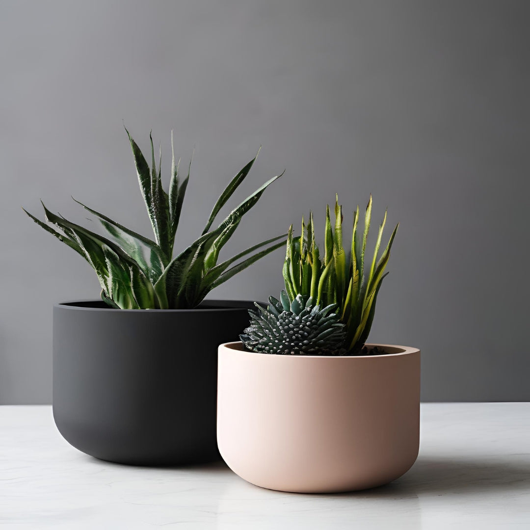 Vaso - Duo