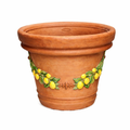Vaso Campestre