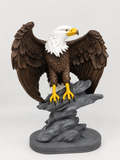 Aquila