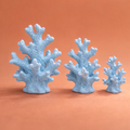 CORALYS- TRIS DI CORALLI